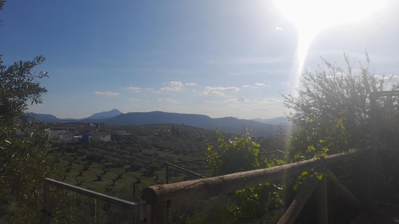 Cortijo El Cerro Apartment อัลเกาเดเต ภายนอก รูปภาพ