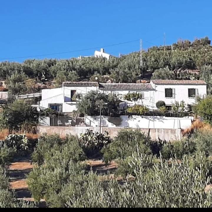 Cortijo El Cerro Apartment อัลเกาเดเต ภายนอก รูปภาพ